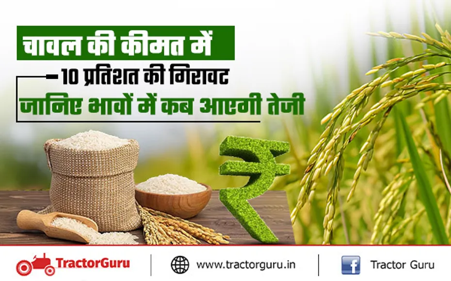 Rice Price : गैर- बासमती चावल की कीमत में 10 फीसदी की गिरावट
