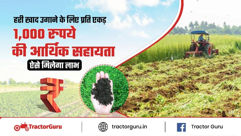 ढैंचा की खेती पर 1,000 रु. प्रति एकड़ नकद सहायता व 80% बीज सब्सिडी