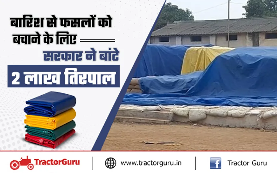 बारिश और ओलावृष्टि से 2200 एकड़ फसल बर्बाद, सरकार ने बांटे 2 लाख तिरपाल