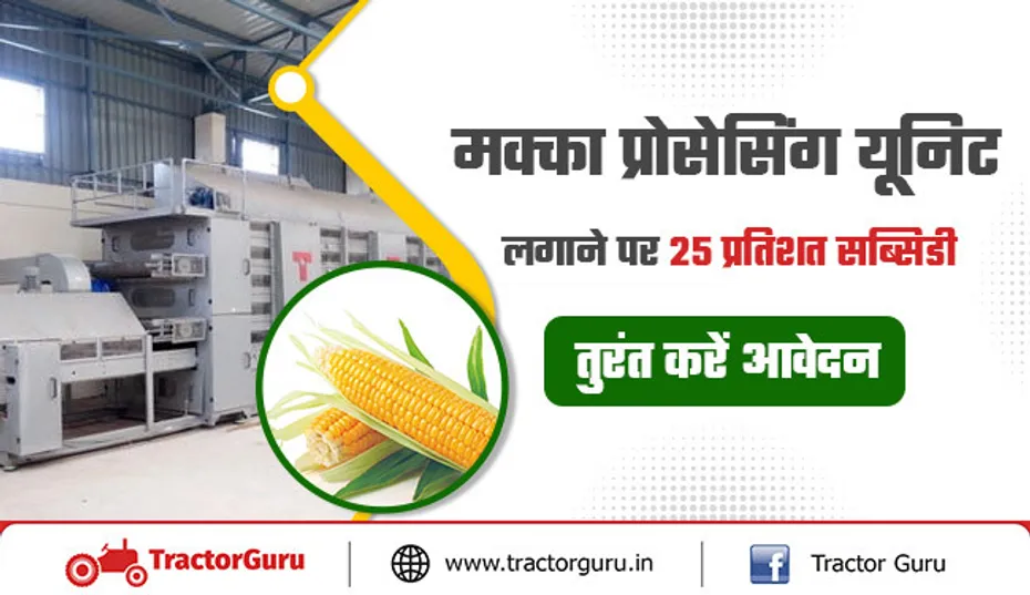मक्का प्रोसेसिंग यूनिट लगाने पर 25 प्रतिशत सब्सिडी, तुरंत करें आवेदन