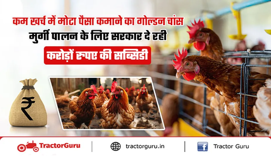 मुर्गी पालन के लिए 40% सरकारी सब्सिडी, 13 अप्रैल तक भरें फॉर्म
