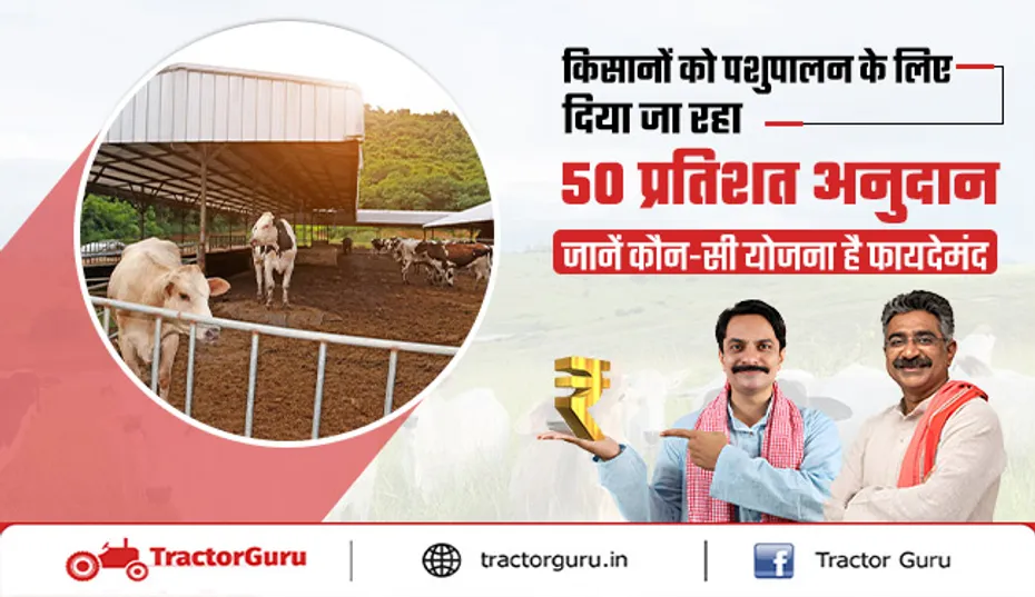 Animal Husbandry : किसानों को पशुपालन पर दी जा रही 50 प्रतिशत सब्सिडी