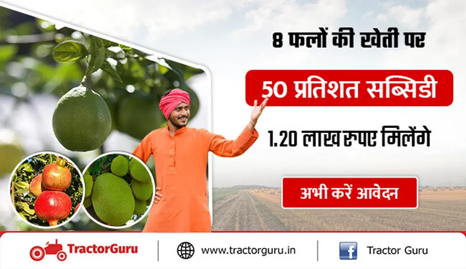 8 फलों की खेती पर 50 प्रतिशत सब्सिडी, 1.20 लाख रुपए मिलेंगे, अभी करें आवेदन