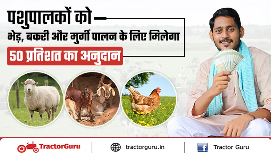 किसानों व पशुपालकों को भेड़ बकरी, मुर्गी पालन पर 50% सब्सिडी