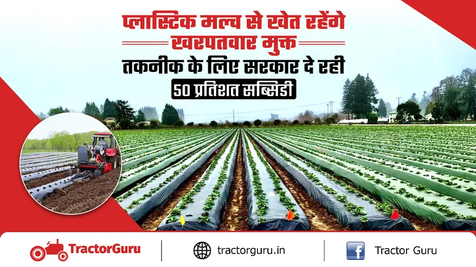 प्लास्टिक मल्च लगाकर खेती करने पर किसानों को 50 प्रतिशत सब्सिडी