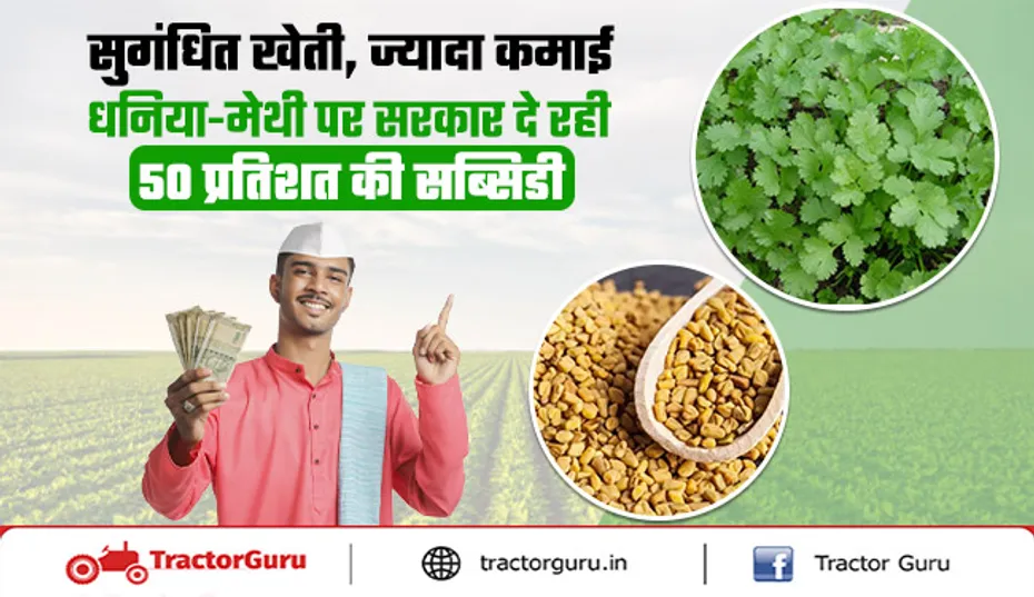 धनिया-मेथी पर 50 प्रतिशत की सब्सिडी, सुगंधित खेती, ज्यादा कमाई