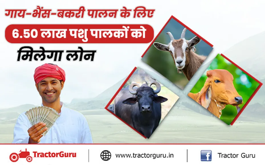 Pashu Kisan Credit Card: 6.50 लाख पशु पालकों को मिलेगा 3 लाख रुपए का लोन