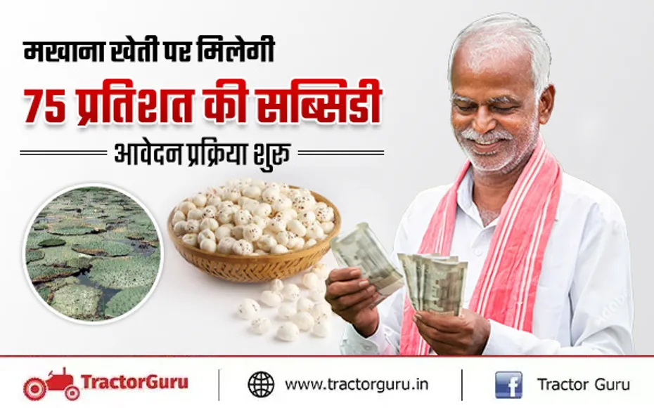 मखाना की खेती पर मिलेगी 75 प्रतिशत सब्सिडी, आवेदन प्रक्रिया शुरू