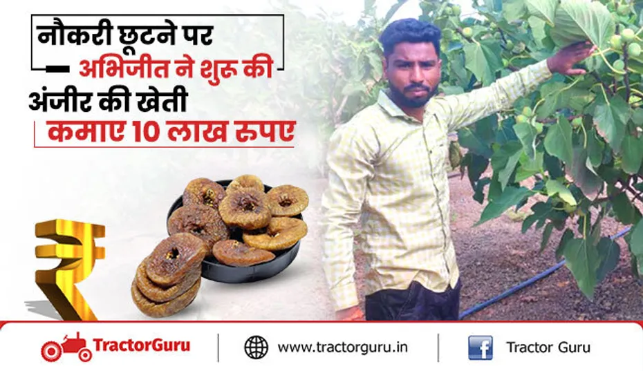 सफल किसान: अभिजीत ने शुरू की अंजीर की खेती, कमा रहे 10 लाख रुपए से ज्यादा का मुनाफा