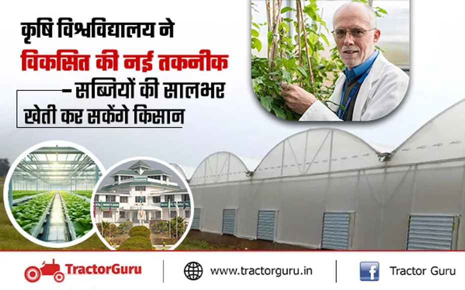 कृषि विश्वविद्यालय ने विकसित की पॉलीहाउस की नई तकनीक, सालभर खेती कर सकेंगे किसान