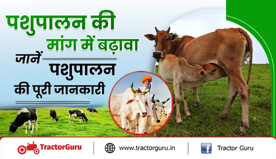 पशुपालन बिजनेस 2023: किसानो को कम निवेश में लाखों रुपये का लाभ
