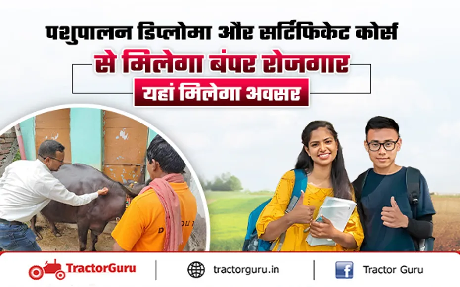 Animal Husbandry : पशुपालन डिप्लोमा और सर्टिफिकेट कोर्स से मिलेगा रोजगार के अवसर