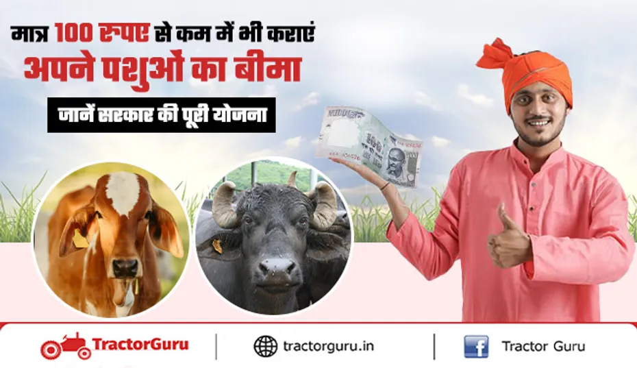 Animal Husbandry : 100 रुपए से कम में कराएं अपने पशुओं का बीमा
