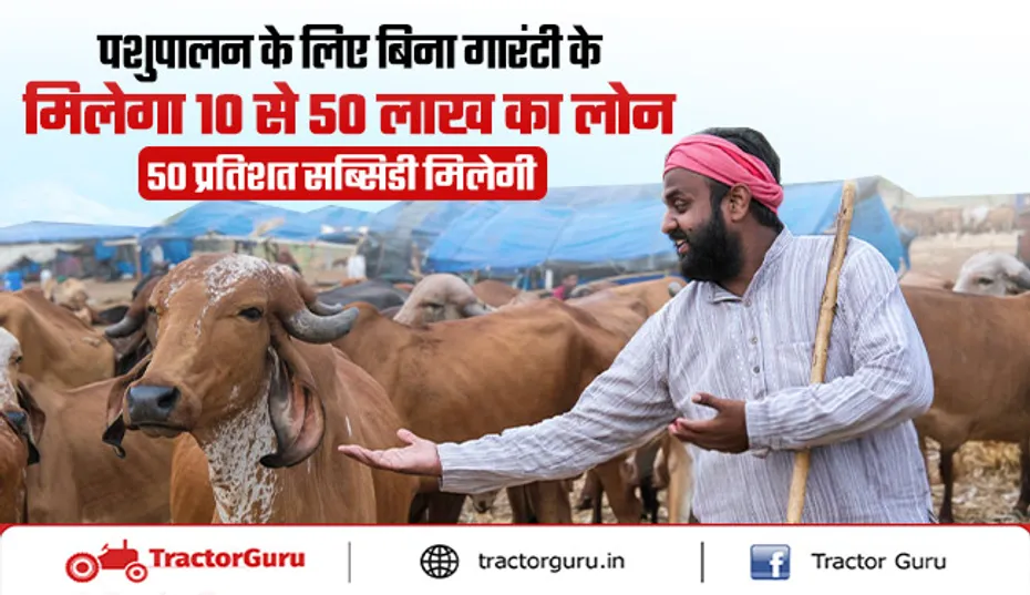 Animal Husbandry : बिना गारंटी 10 से 50 लाख तक लोन, 50% सब्सिडी
