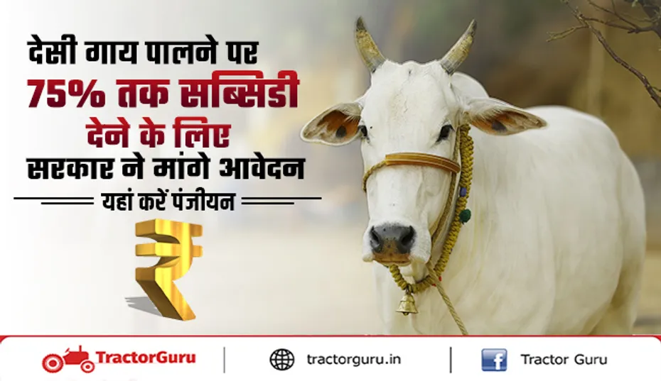Animal Husbandry : देसी गाय पालने पर 75% तक सब्सिडी
