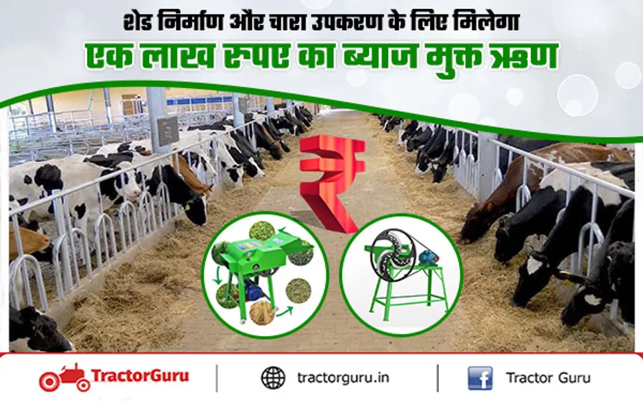 Animal Husbandry : पशुपालकों को शेड निर्माण, चारा उपकरण के लिए मिलेगा ब्याज मुक्त ऋण