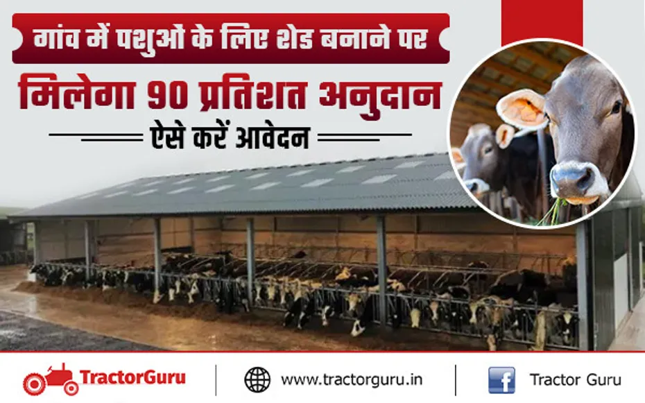 पशु शेड निर्माण और गोपालन हेतु सरकार से मिलेगी 90 प्रतिशत तक सब्सिडी जाने कैसे करे आवेदन