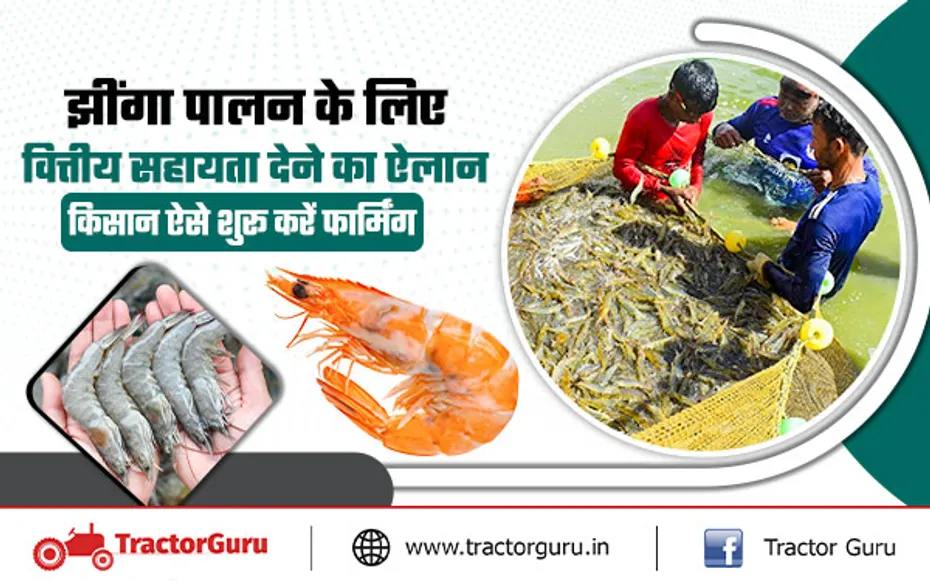 Shrimp Farming : झींगा मछली पालन के लिए किसानों को वित्तीय सहायता देने का ऐलान