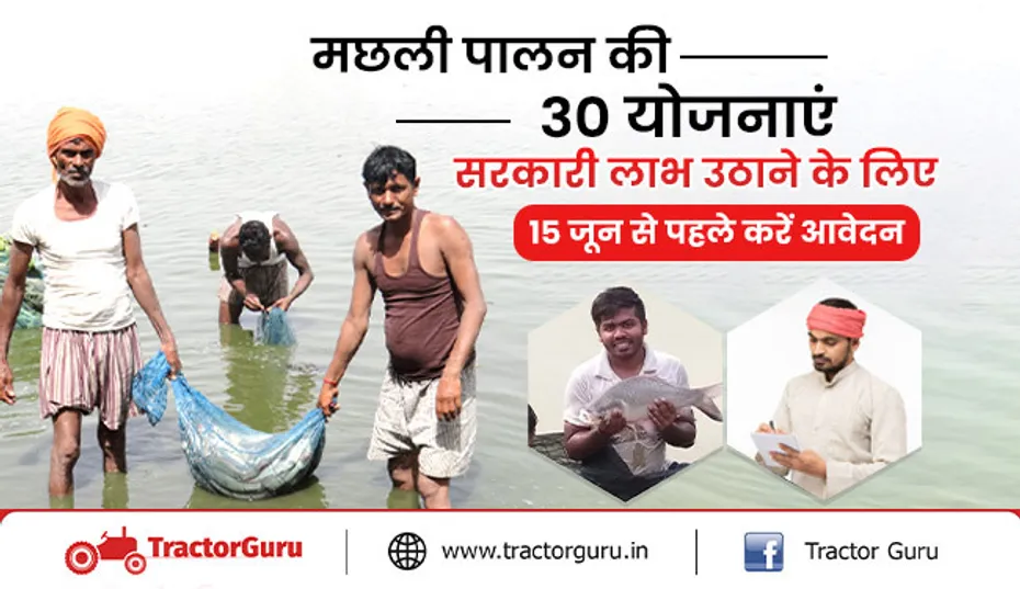 मछली पालन की 30 योजनाएं : सरकारी लाभ उठाने के लिए 15 जून से पहले करें आवेदन