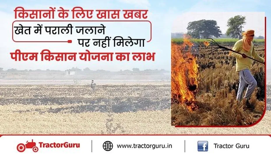 खेतों में पराली जलाने पर नहीं मिलेगा पीएम किसान योजना का लाभ