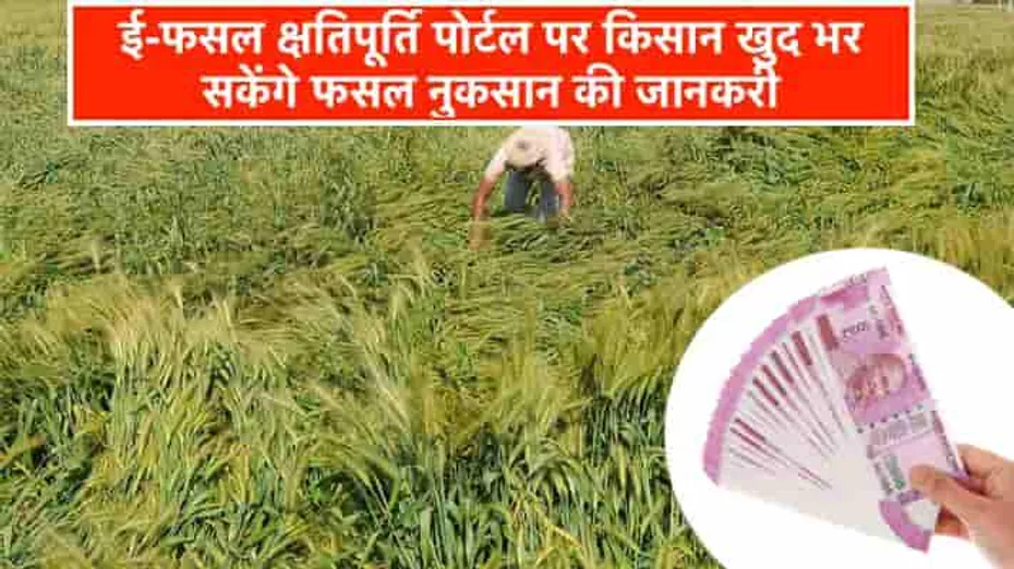 ई-क्षतिपूर्ति पोर्टल : फसल व पशुधन के नुकसान पर मिलेगा बड़ा मुआवजा, अभी करें आवेदन