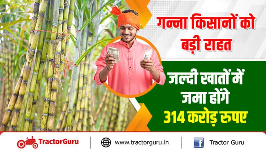 गन्ना किसानों को बड़ी राहत, जल्दी खातों में जमा होंगे 314 करोड़ रुपए