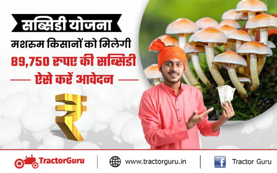 किसानों को मशरूम को खेती के लिए सरकार मिलेगी 89,750 रुपए की सब्सिडी, ऐसे करें आवेदन