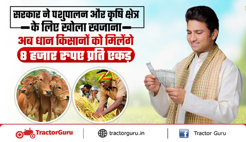 Budget 2025: कृषि और पशुपालन की नई योजनाएं और सब्सिडी, 2.05 लाख करोड़ का बजट पेश