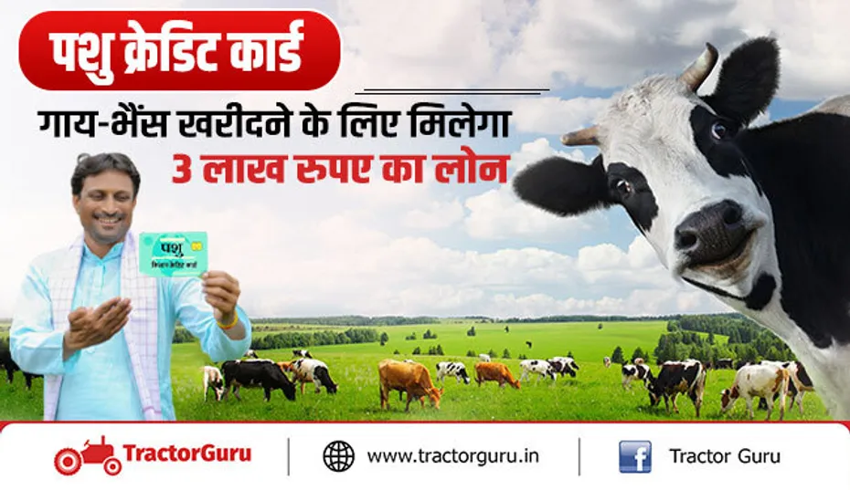पशु क्रेडिट कार्ड : पशुपालन के लिए सरकार देगी 3 लाख तक का लोन, जानें पूरी खबर