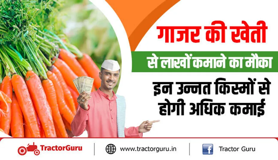 गाजर की खेती से लाखों कमाने का मौका, इन उन्नत किस्मों से होगी अधिक कमाई