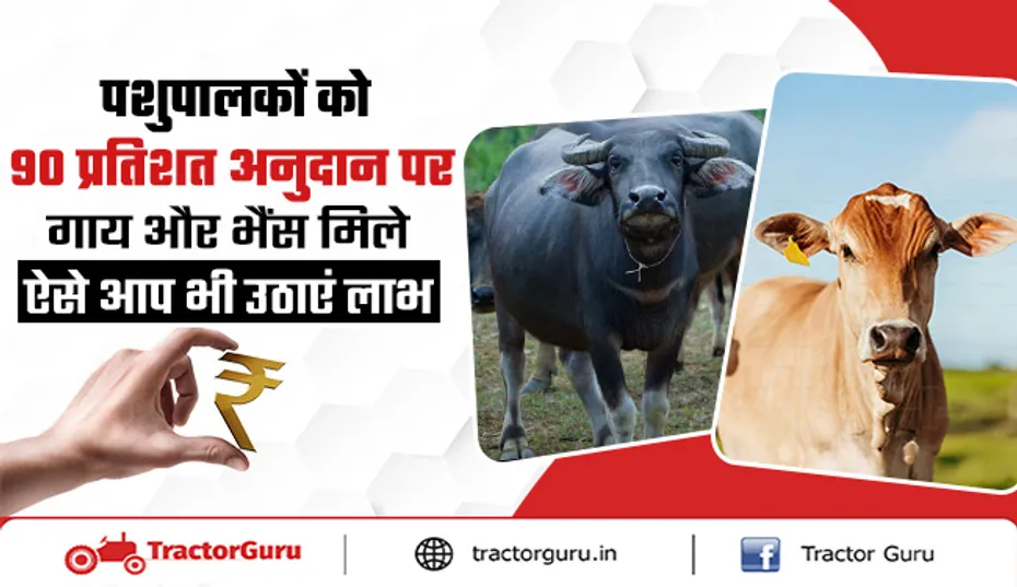 मुख्यमंत्री दुधारू पशु प्रदाय योजना: प्राप्त करें 90% सब्सिडी पर दुधारू गाय और भैंस