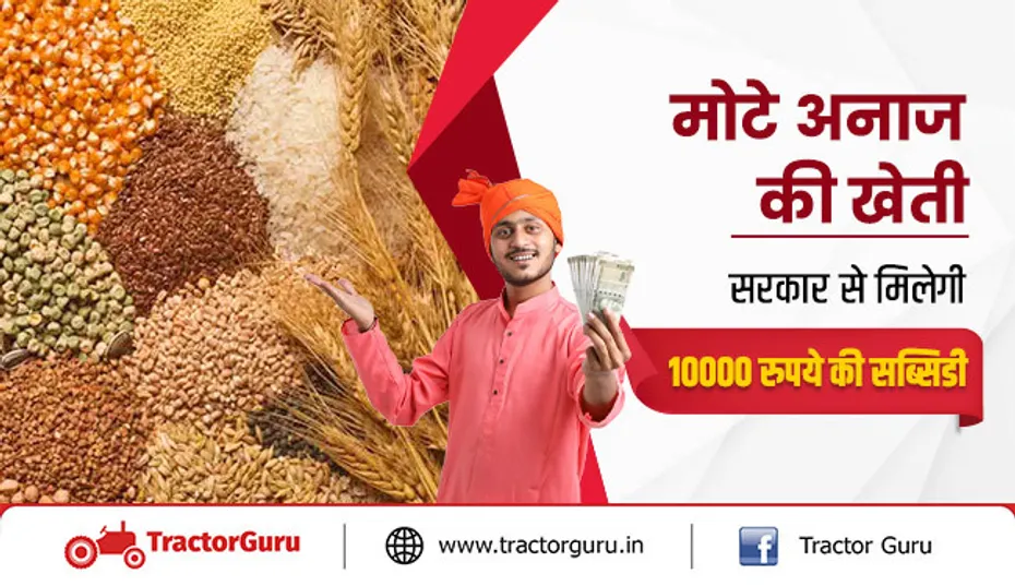 मोटे अनाज की खेती - इन राज्यों में सरकार से मिलेगी 10,000 रुपये की सब्सिडी 