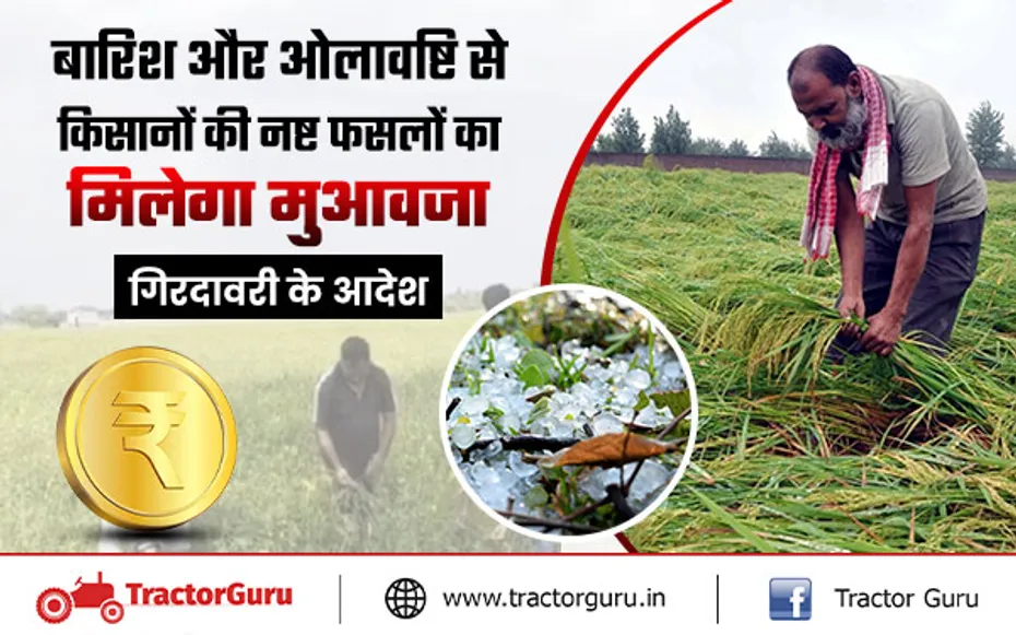 बारिश और ओलावृष्टि से किसानों की नष्ट हुई फसलों का मिलेगा मुआवजा