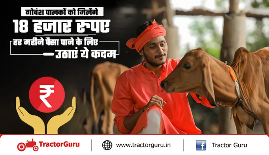 गोवंश पालकों को मिलेंगे 18 हजार रुपए, हर महीने पैसा पाने के लिए उठाएं ये कदम
