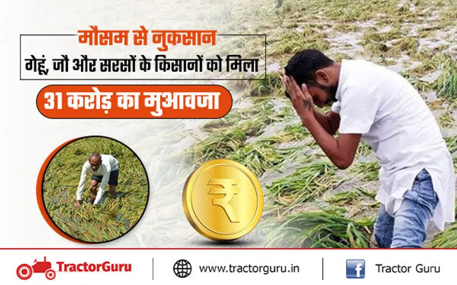 फसल मुआवजा : 29 हजार से अधिक किसानों को दिया 31 करोड़ का फसल मुआवजा, देखे लिस्ट