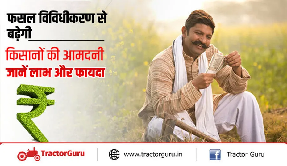फसल विविधीकरण से किसानों की आय वृद्धि जानें, कैसे बढ़ेगी उत्पादन क्षमता