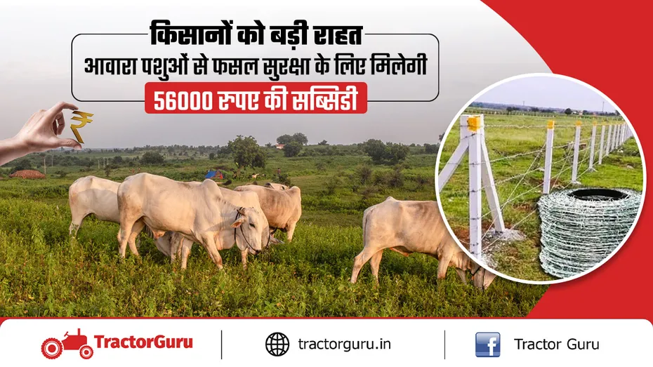 आवारा पशुओं से फसल सुरक्षा, खेतों की तारबंदी के लिए 56000 की सब्सिडी