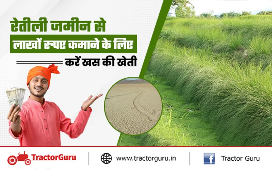 रेतीली जमीन से लाखों रुपए कमाने के लिए करें खस की खेती, हो रही लाखों रुपए की कमाई