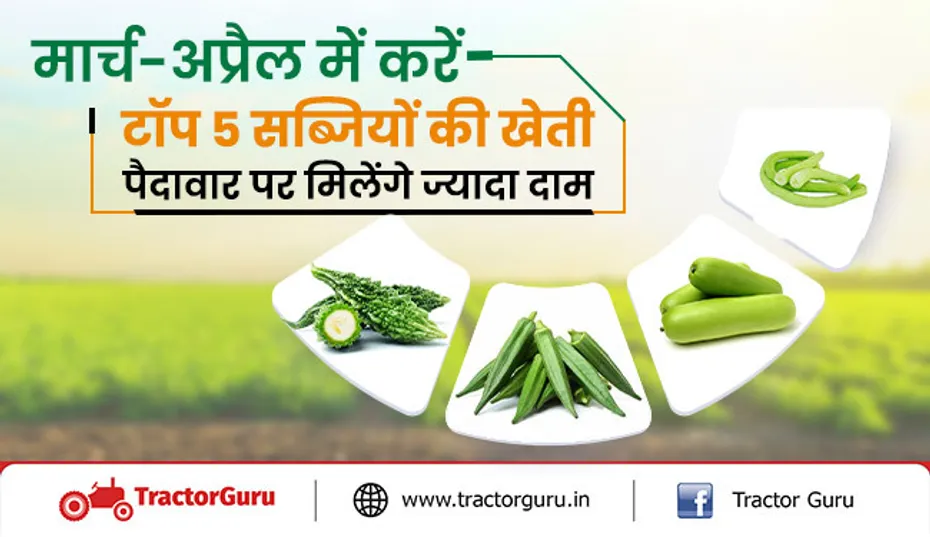 टॉप 5 सब्जियां : मार्च- अप्रैल सीजन में करे इन सब्जियों की खेती, होगा बंपर मुनाफा