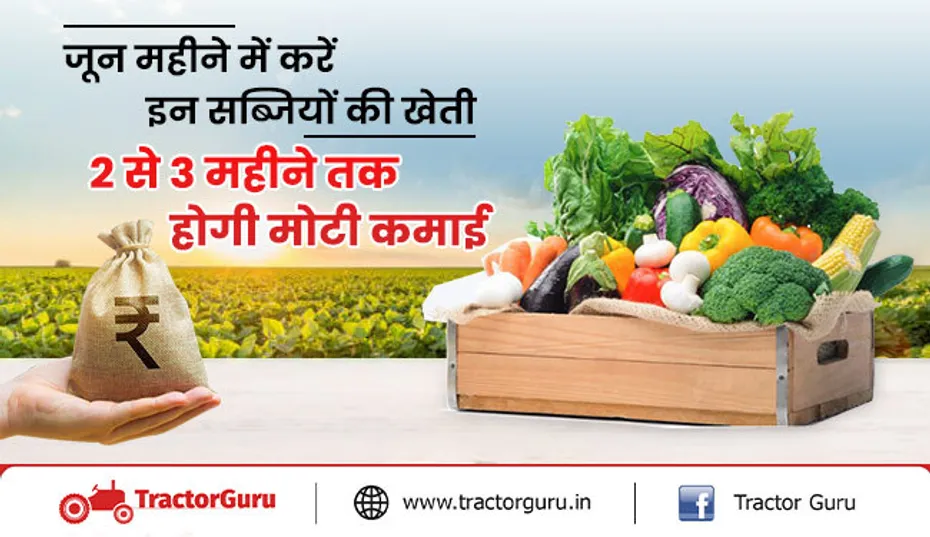 किसान जून महीने में करें इन सब्जियों की खेती मिलेगा ज्यादा मुनाफा, होगा लाभ