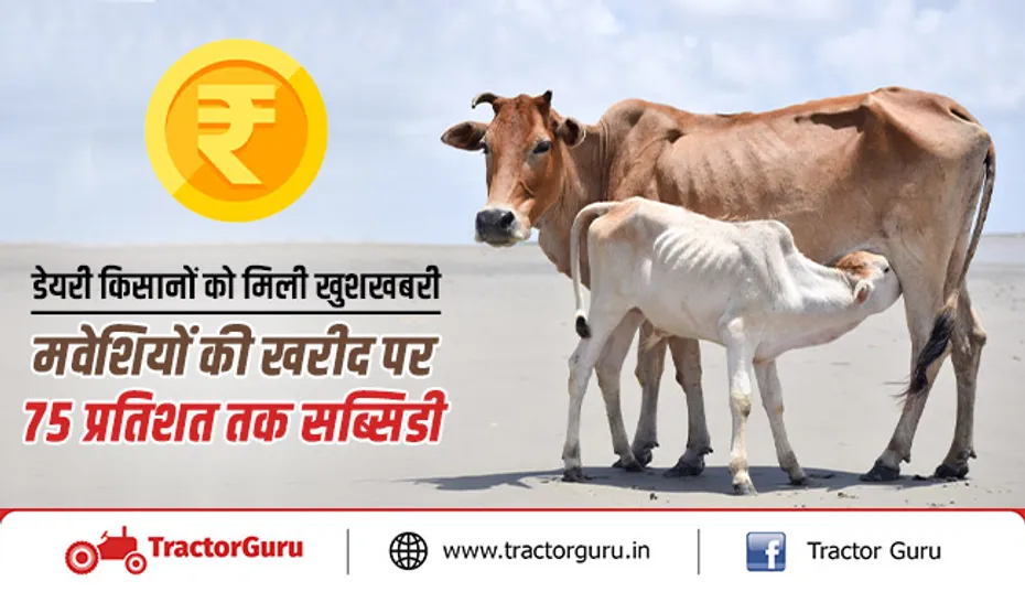 डेयरी किसानों को मिली खुशखबरी, मवेशियों की खरीद पर 75 प्रतिशत तक सब्सिडी