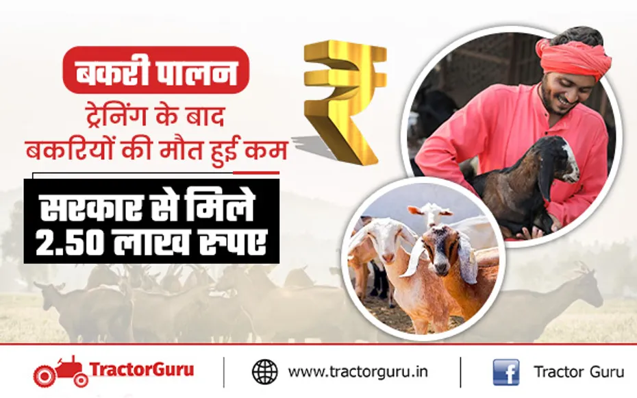Success Story : बकरीयों की मृत्यु दर में आई कमी, अब मिल रही मोटी कमाई