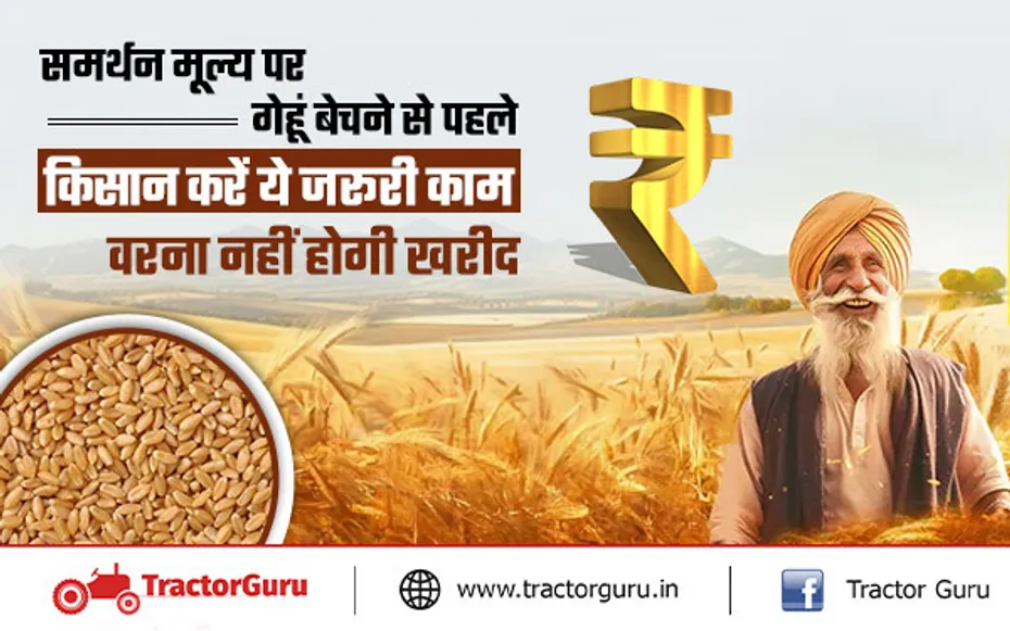 मंडियों में गेहूं ले जाने से पहले किसान करें ये जरूरी काम, वरना नहीं होगी खरीद
