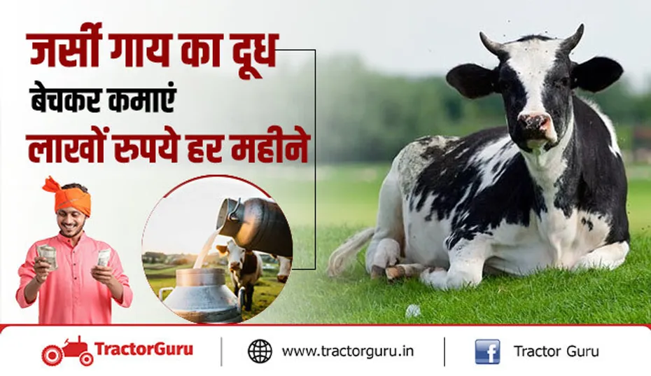 पशुपालक किसान जर्सी गाय का दूध बेचकर कमाएं लाखों रुपये हर महीने