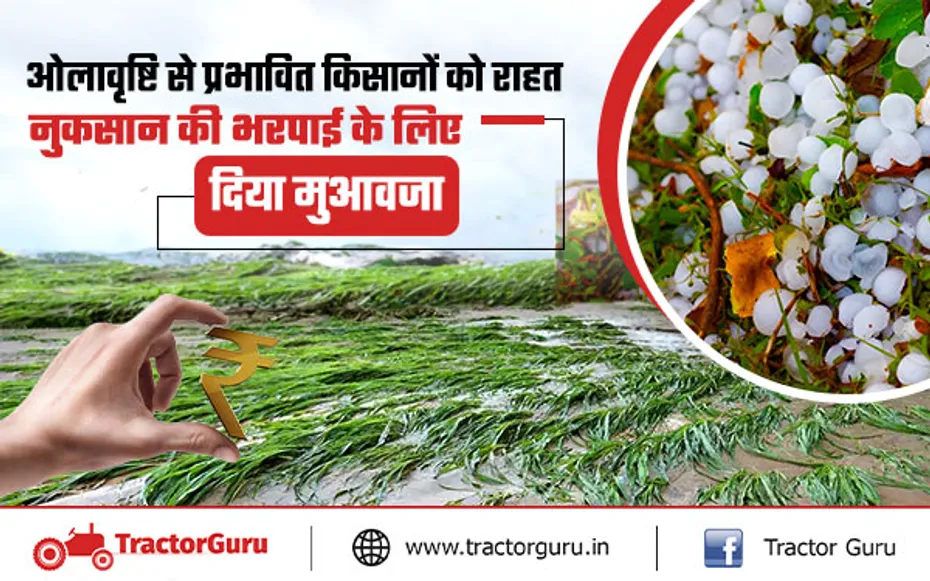 Pradhan Mantri Fasal Bima Yojana : ओलावृष्टि से प्रभावित किसानों को राहत की खबर
