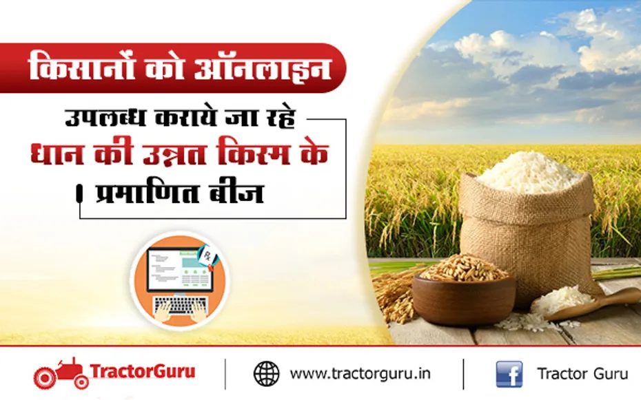 Online Seed: किसान यहां से ऑनलाइन खरीद सकते है धान की उन्नत किस्म के प्रमाणित बीज