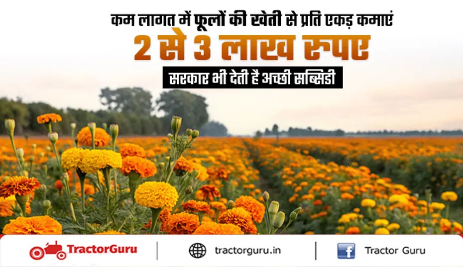 किसान फूलों की खेती से प्रति एकड़ कमाएं लाखों रुपए, सरकार भी देती है अच्छी सब्सिडी