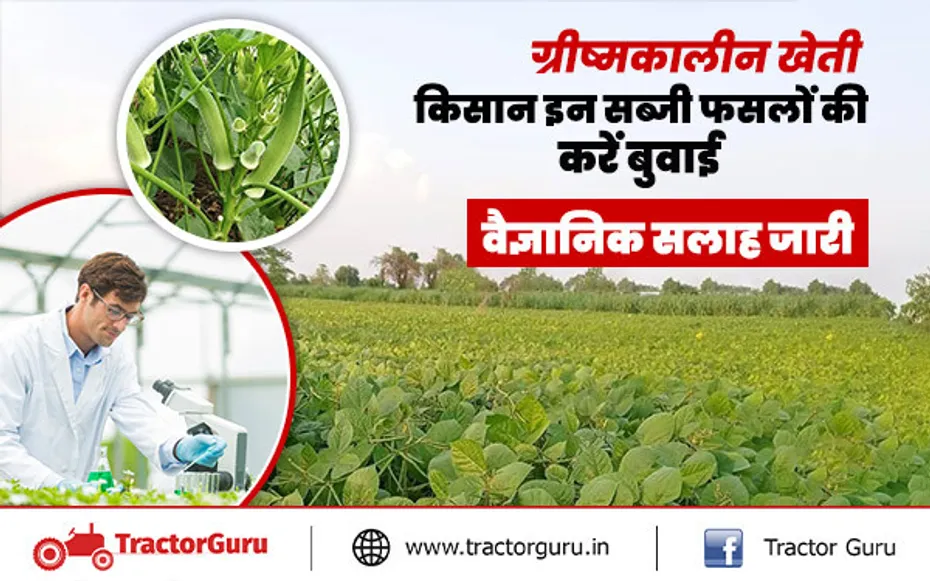 Farming advisory :किसान अभी शुरू कर सकते हैं इन सब्जी फसलों की बुवाई