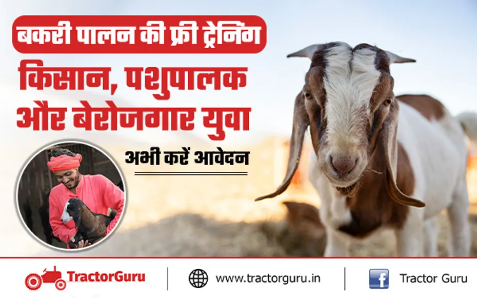 किसान, पशुपालक और बेरोजगार युवाओं को मिलेगा बकरी पालन प्रशिक्षण, 20 जून तक यहाँ करें आवेदन