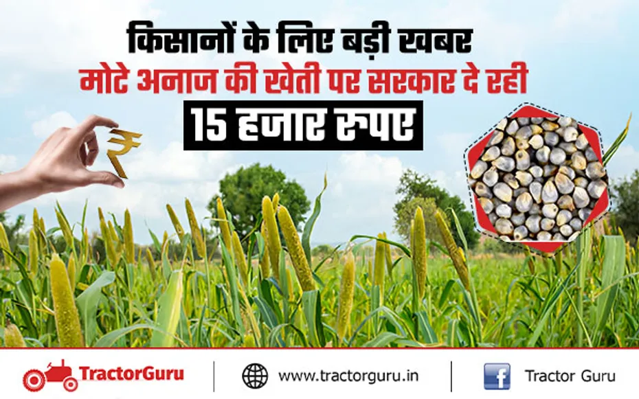 मोटे अनाज की खेती करने वाले किसानों को मिलेंगे 15 हजार रुपए, यहां करना होगा आवेदन